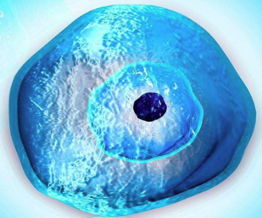 Research and development of a new technology to track jump gene movement